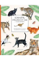 Chats, felins et cie a colorier