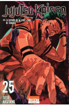 Jujutsu kaisen t25