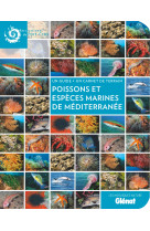 Poissons et espèces marines de méditerranée