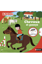 Chevaux et poneys