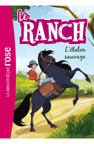 Le ranch 01 - l'étalon sauvage