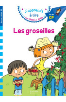 Sami et julie cp niveau 3 les groseilles