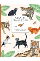 Chats, félins et cie à colorier