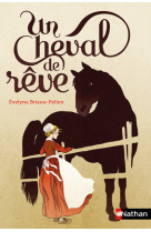 Un cheval de rêve