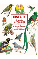 Oiseaux du monde à colorier