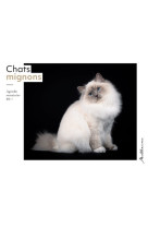 Semainier 2024 - chats mignons