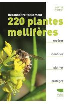 Reconnaître facilement 220 plantes mellifères