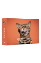 Agenda - calendrier drôles de chats 2023