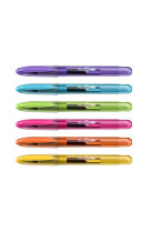 Stylo plume  assortiment couleur