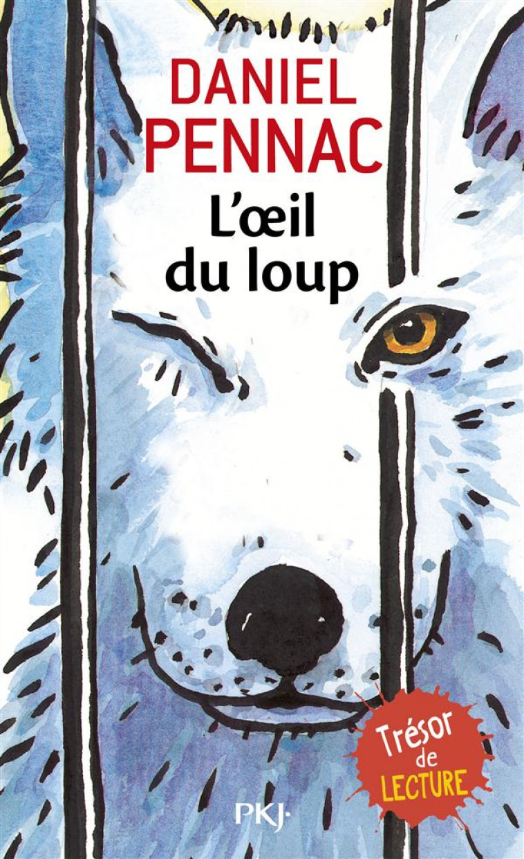 L'OEIL DU LOUP - PENNAC DANIEL - POCKET