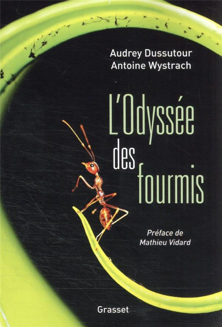 L'ODYSSEE DES FOURMIS - PREFACE DE MATHIEU VIDARD - DUSSUTOUR/WYSTRACH - GRASSET