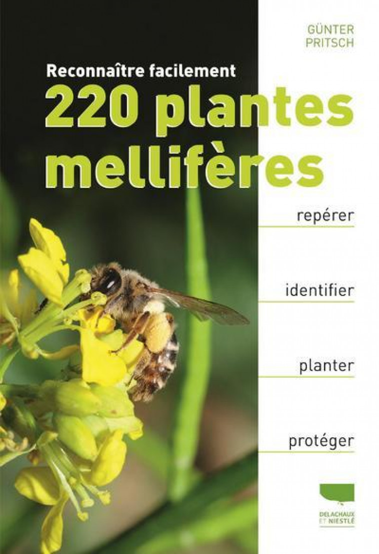 RECONNAITRE FACILEMENT 220 PLANTES MELLIFERES - PRITSCH GUNTER - DELACHAUX