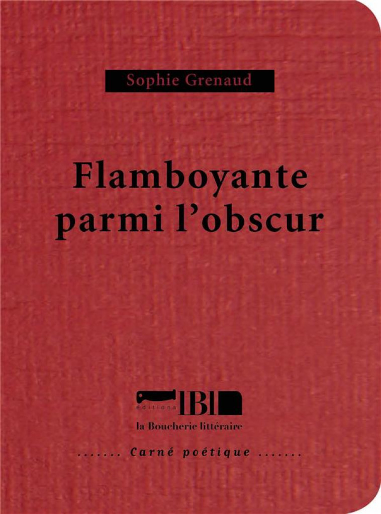 FLAMBOYANTE PARMI L'OBSCUR - GRENAUD SOPHIE - BOUCHERIE LIT