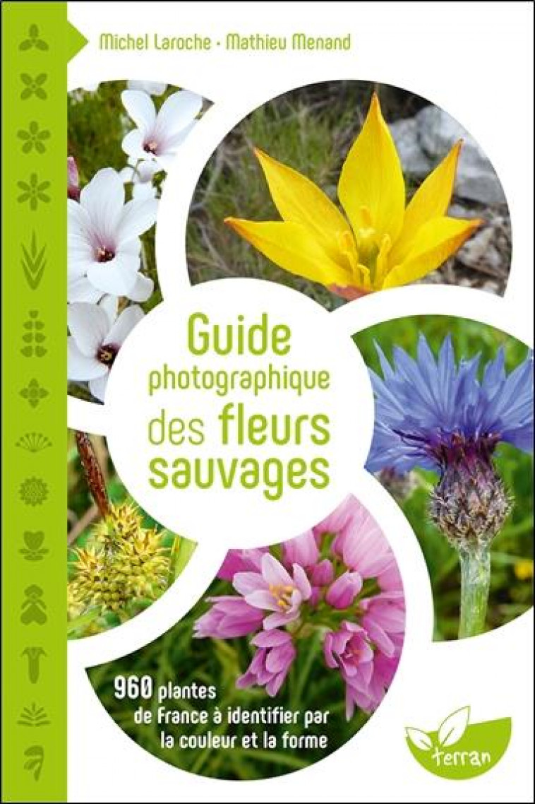 GUIDE PHOTOGRAPHIQUE DES FLEURS SAUVAGES - 960 PLANTES DE FRANCE A IDENTIFIER PAR LA COULEUR ET LA F - LAROCHE/MENAND - DE TERRAN