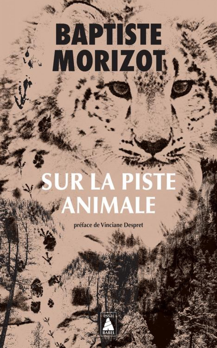 SUR LA PISTE ANIMALE - MORIZOT/DESPRET - ACTES SUD