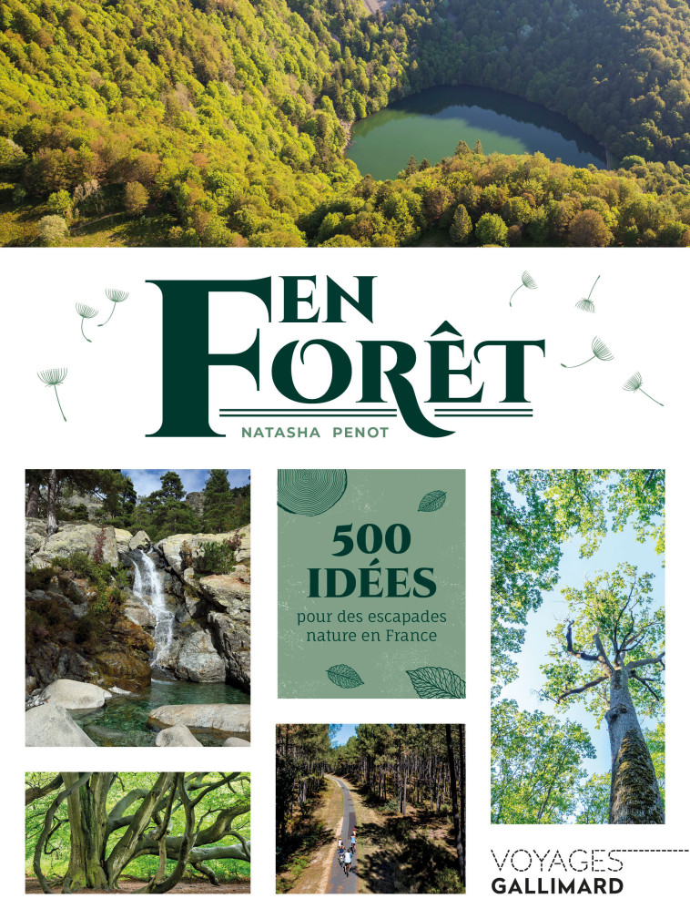 En forêt - Penot Natasha - GALLIM LOISIRS