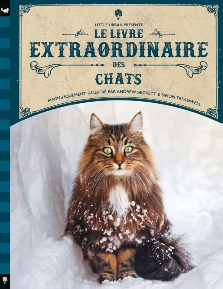 Le Livre extraordinaire des chats - Taylor Barbara Taylor Barbara, Beckett Andrew Beckett Andrew, Treadwell Simon Treadwell Simon,  Taylor Barbara,  Beckett Andrew,  Treadwell Simon - LITTLE URBAN