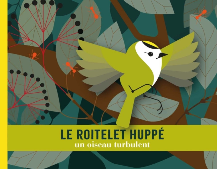 Le roitelet huppé - Cécile Jacoud - AMATERRA