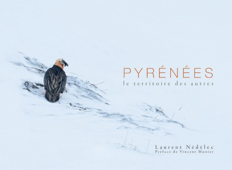 Pyrénées - le territoire des autres - Laurent Nédélec,  NEDELEC, LAURENT - CORBAC