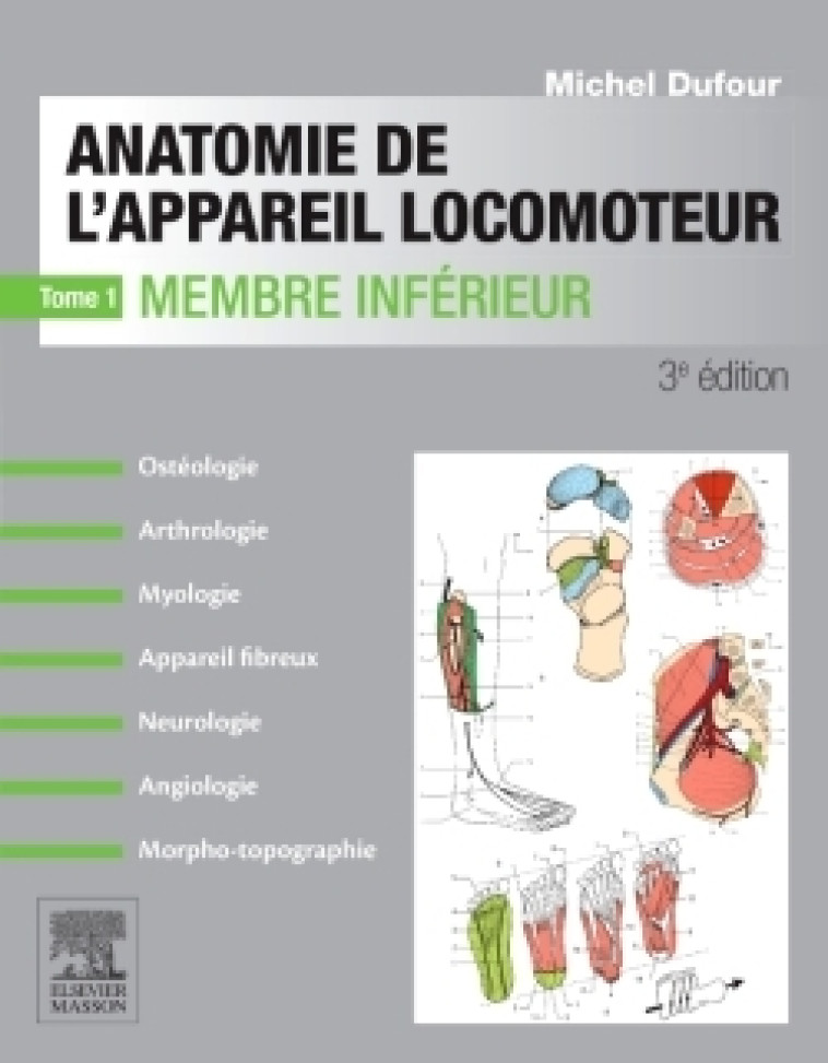 Anatomie de l'appareil locomoteur-Tome 1 Membre inférieur - Michel Dufour - MASSON