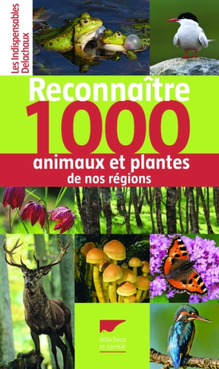 Reconnaître 1000 animaux et plantes de nos régions - Collectif Collectif,  Collectif - DELACHAUX