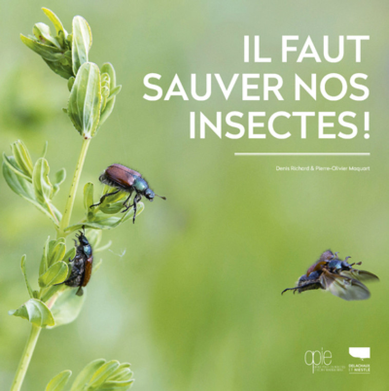 Il faut sauver nos insectes - Denis Richard, Pierre-Olivier Maquart - DELACHAUX