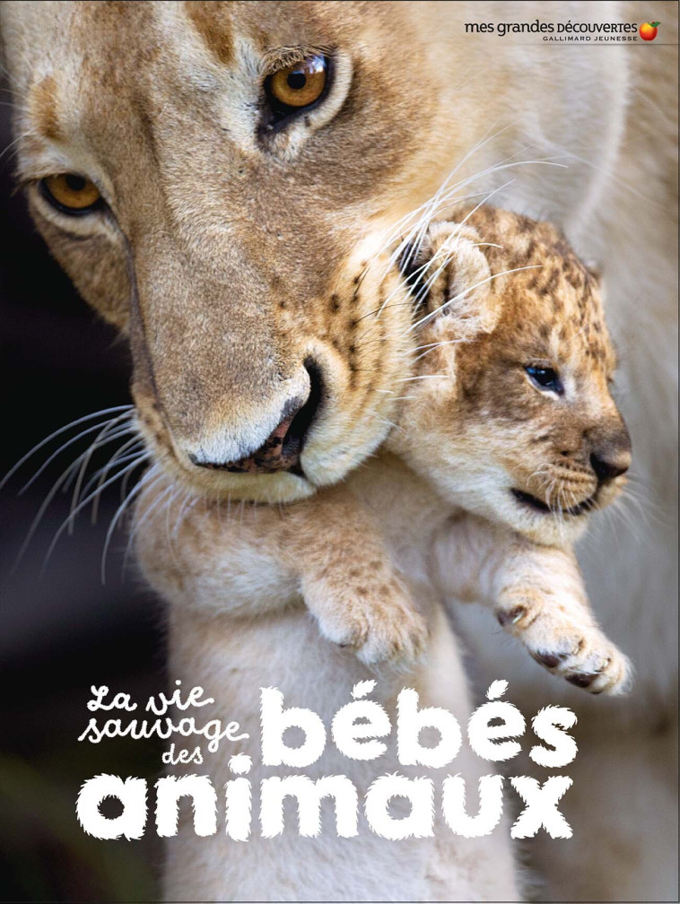 La vie sauvage des bébés animaux -  Collectif, Bruno Porlier - GALLIMARD JEUNE