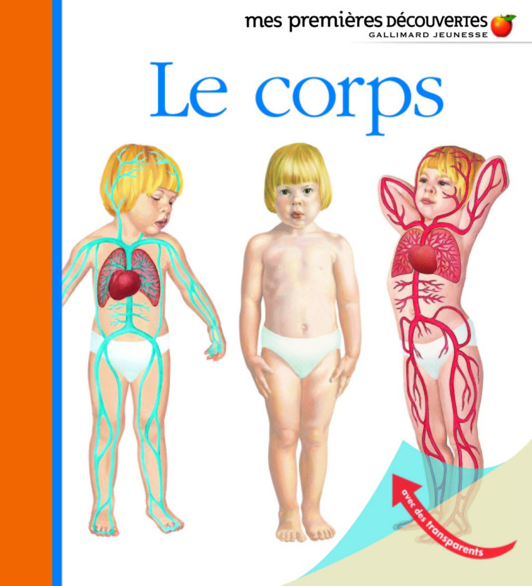 Le corps -  Collectif - GALLIMARD JEUNE