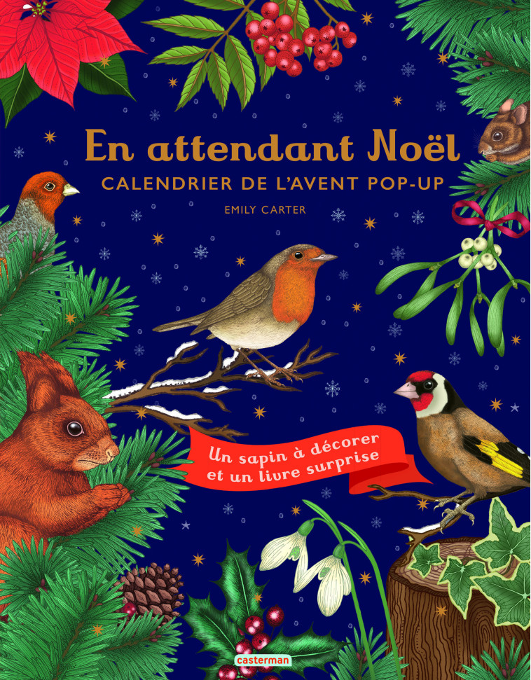 En attendant Noël -  EMILY CARTER - CASTERMAN