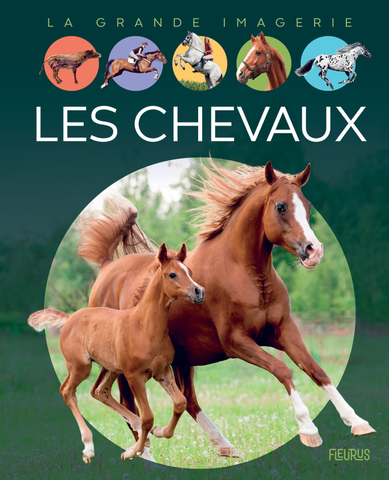 Les chevaux - Agnès Vandewiele - FLEURUS