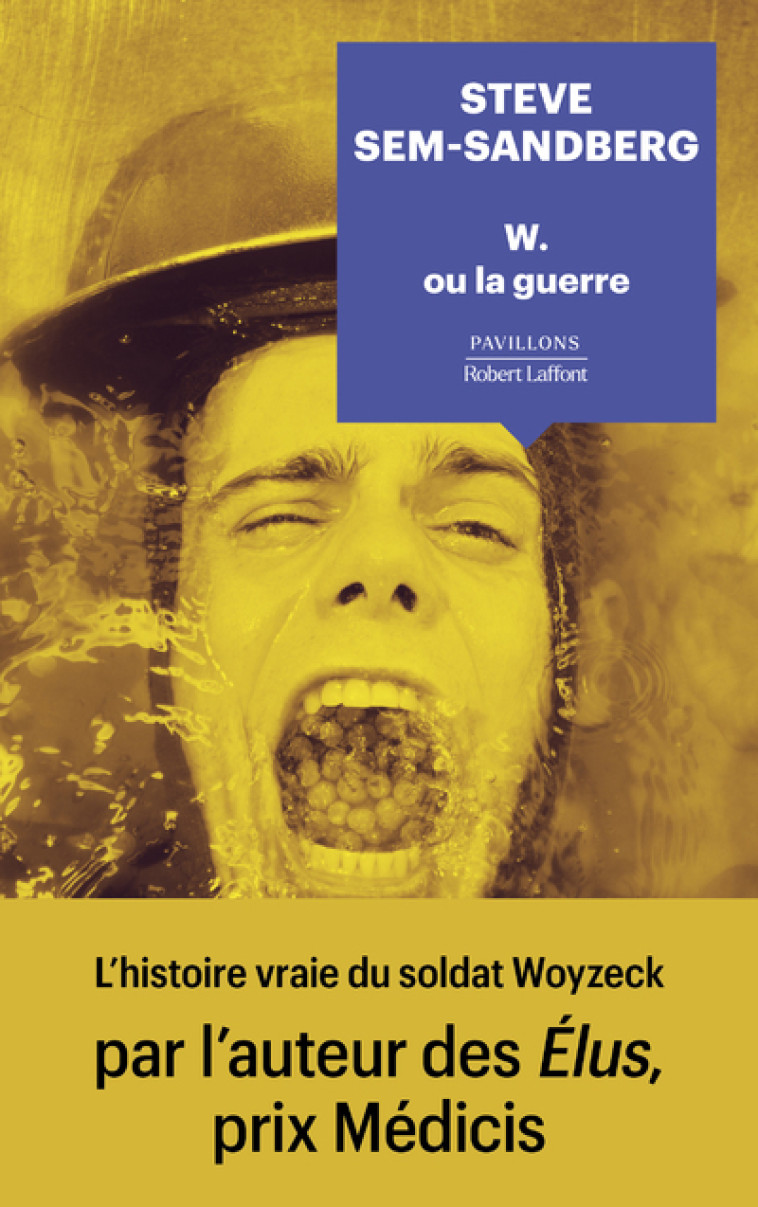 W. ou la guerre - Steve Sem-Sandberg - ROBERT LAFFONT