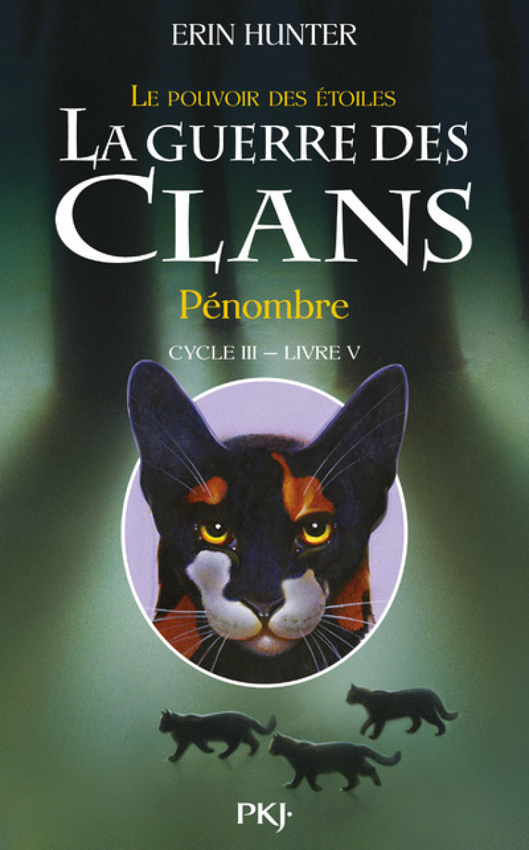 La guerre des Clans - cycle III Le pouvoir des étoiles - tome 5 Pénombre - Erin Hunter - POCKET JEUNESSE