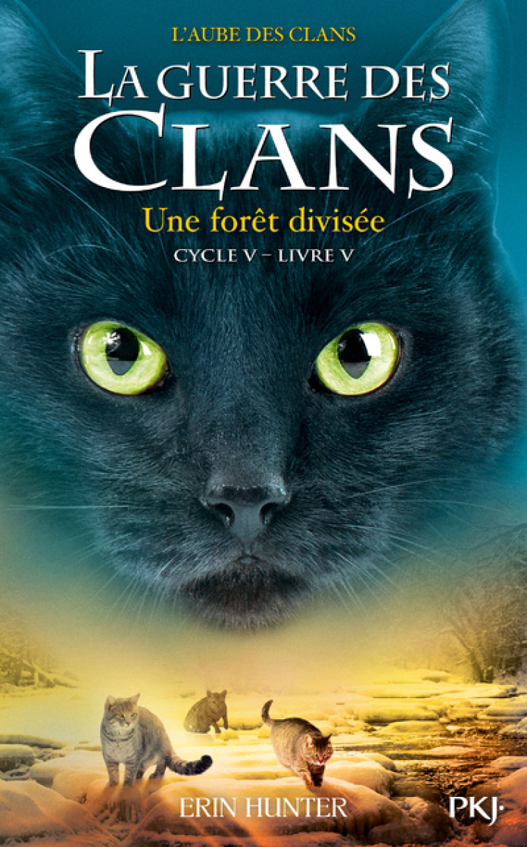 La guerre des Clans - Cycle V L'aube des clans - tome 5 Une forêt divisée - Erin Hunter - POCKET JEUNESSE