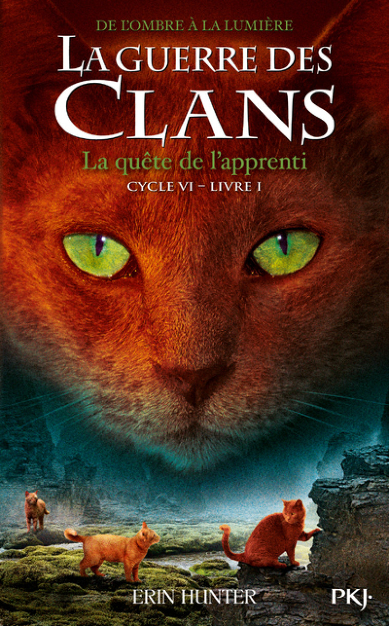 La Guerre des Clans - Cycle VI De l'Ombre à la lumière - tome 1 La quête de l'apprenti - Erin Hunter - POCKET JEUNESSE