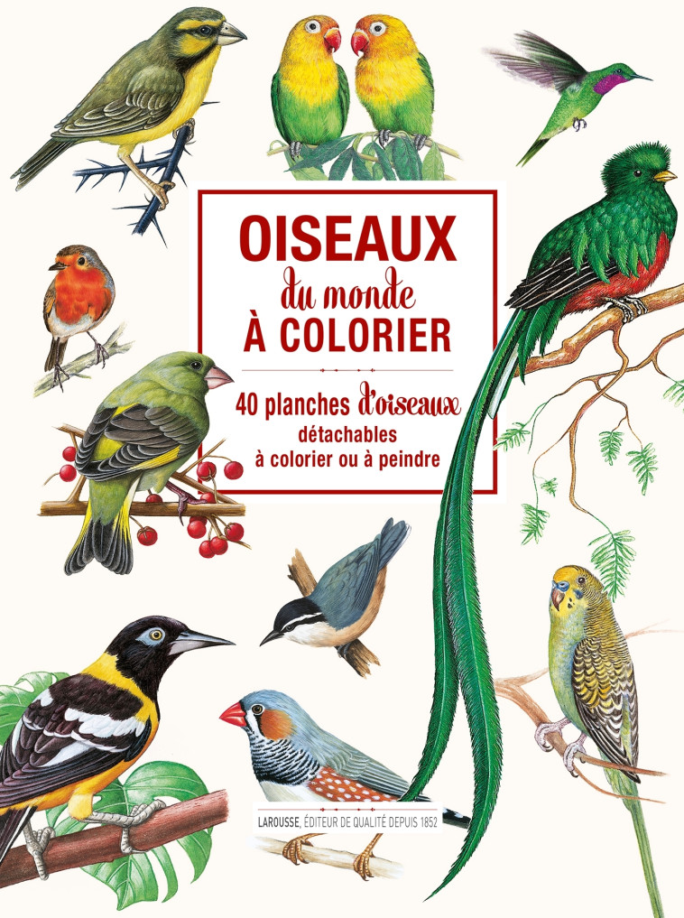 Oiseaux du monde à colorier - XXX - DESSAIN TOLRA