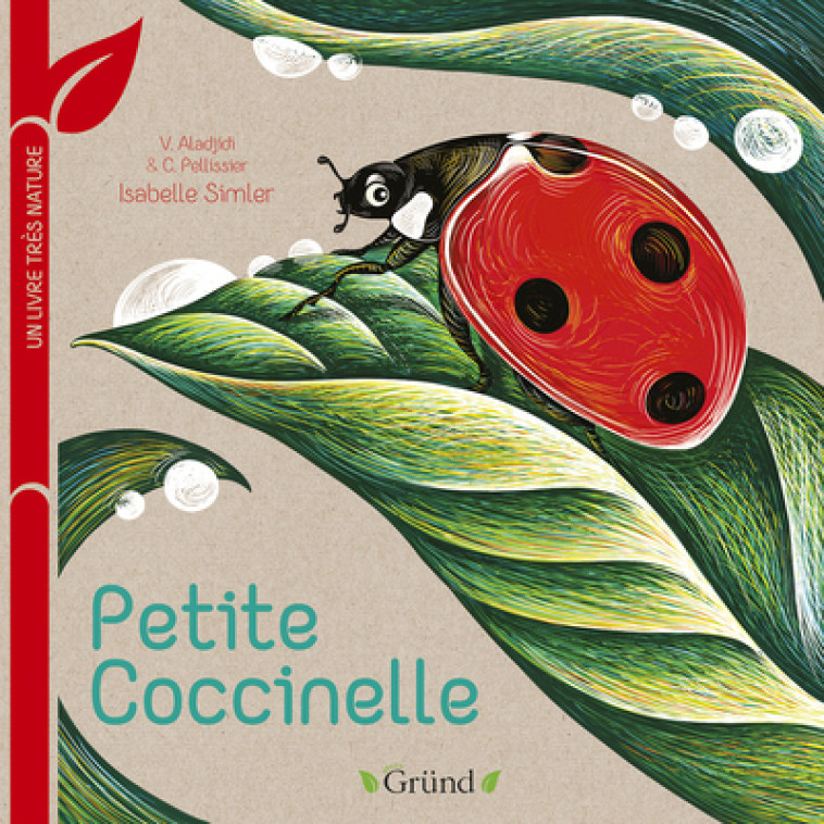 Petite coccinelle - Un livre très nature - Virginie Aladjidi - GRUND