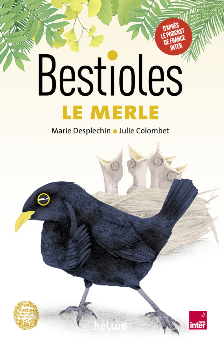 Bestioles - Le Merle - Guillaume Lecointre - HELIUM