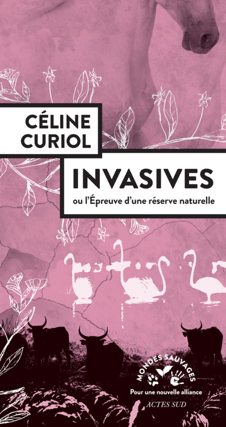 Invasives - Céline Curiol - ACTES SUD