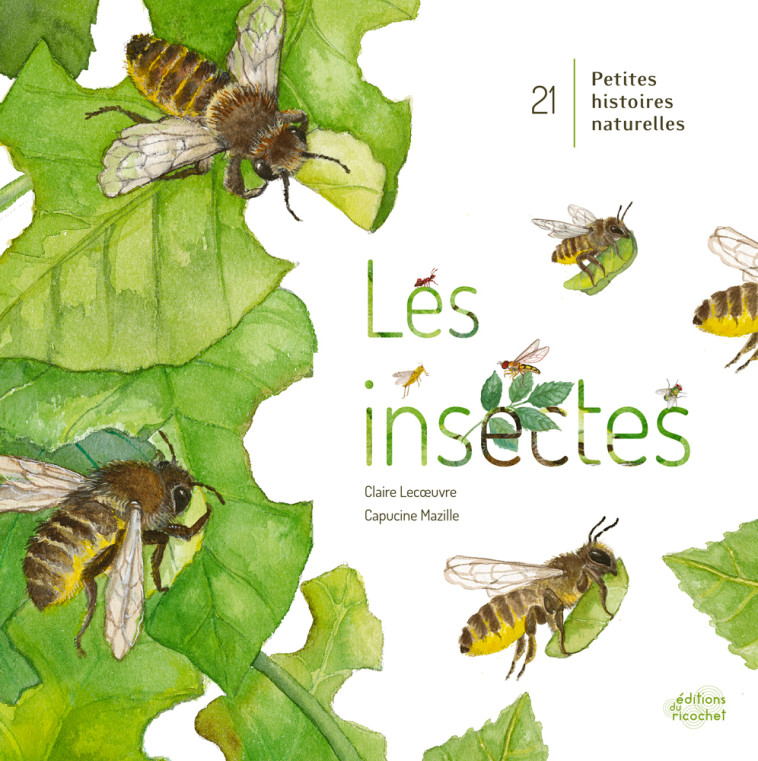 LES INSECTES ! - Claire Lecoeuvre - RICOCHET