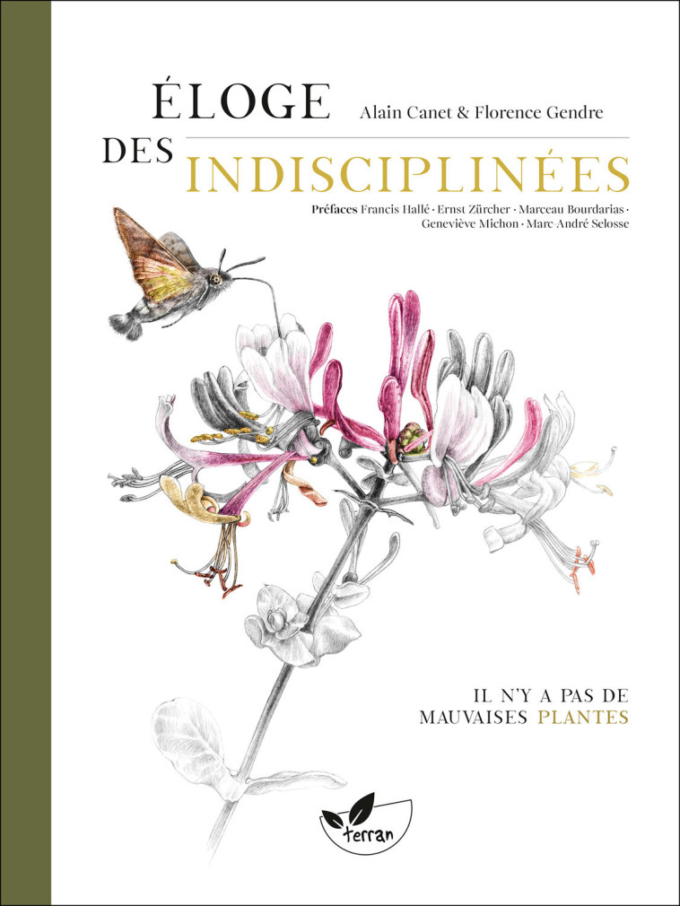 Éloge des indisciplinées - Il n’y a pas de mauvaises plantes - Alain Canet - DE TERRAN