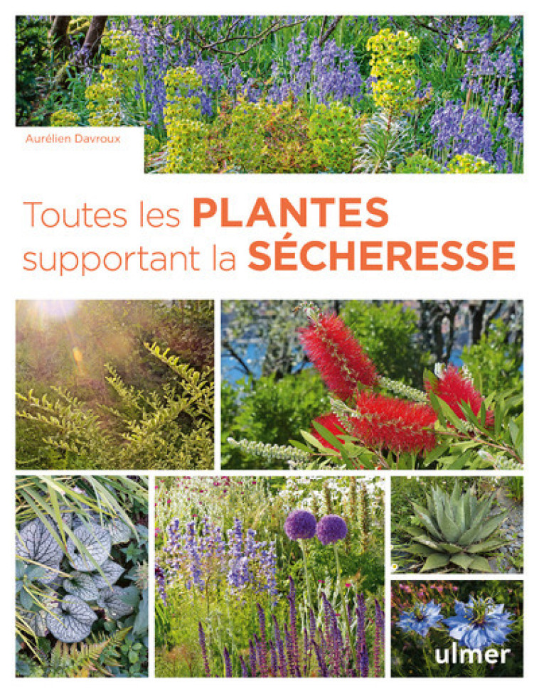 Toutes les plantes supportant la sécheresse - Aurélien Davroux - ULMER