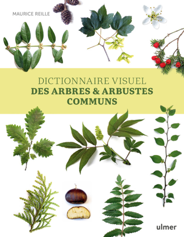 Dictionnaire visuel des arbres et arbustes communs - Maurice Reille - ULMER