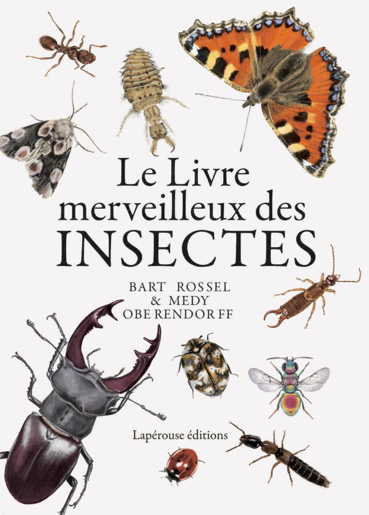 Le livre merveilleux des insectes - Medy Oberendorff - LAPEROUSE