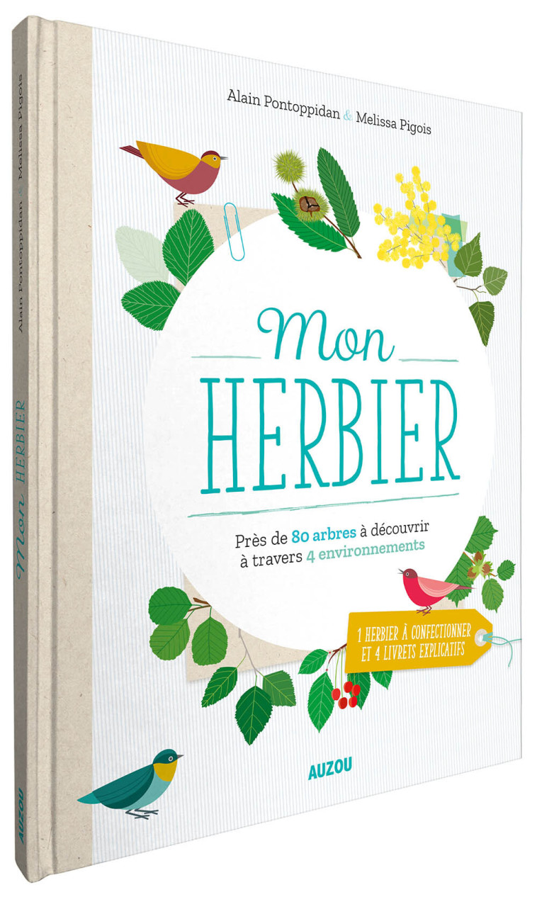 MON HERBIER - XXX - AUZOU