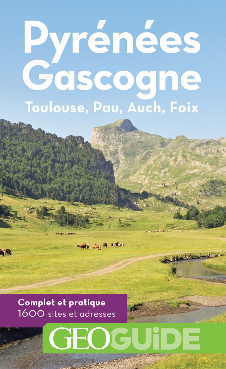 Pyrénées Gascogne -  Collectifs - GALLIM LOISIRS