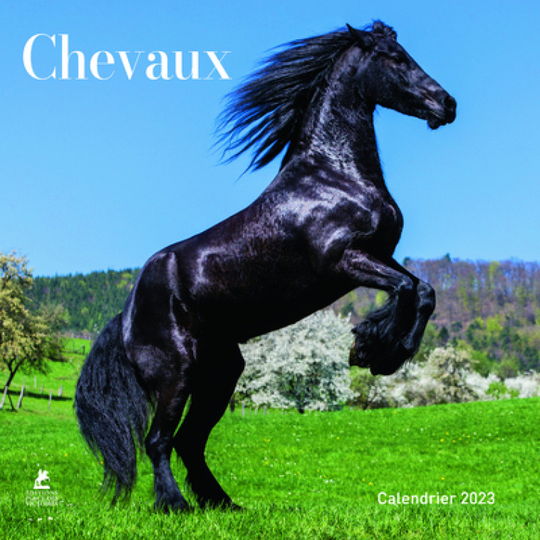 Chevaux - Calendrier 2023 -  Collectif - PLACE VICTOIRES