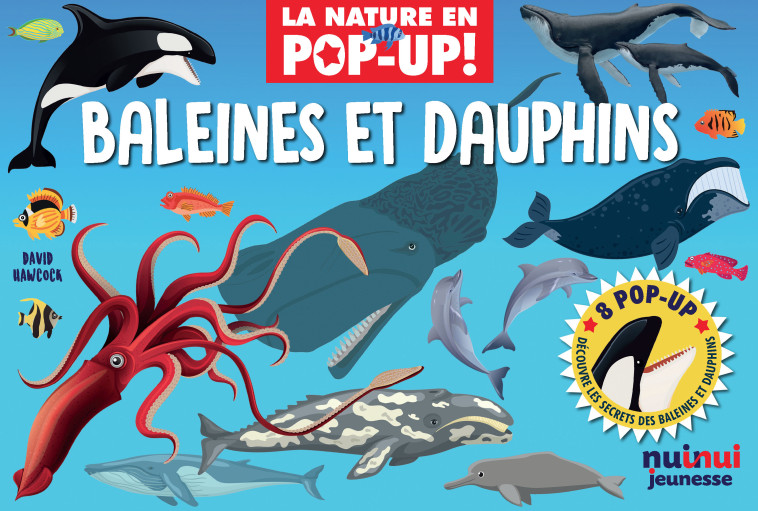 La nature en pop-up - Baleines et dauphins - David Hawcock - NUINUI JEUNESSE